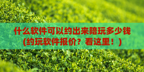 什么软件可以约出来陪玩多少钱(约玩软件报价？看这里！)  第1张