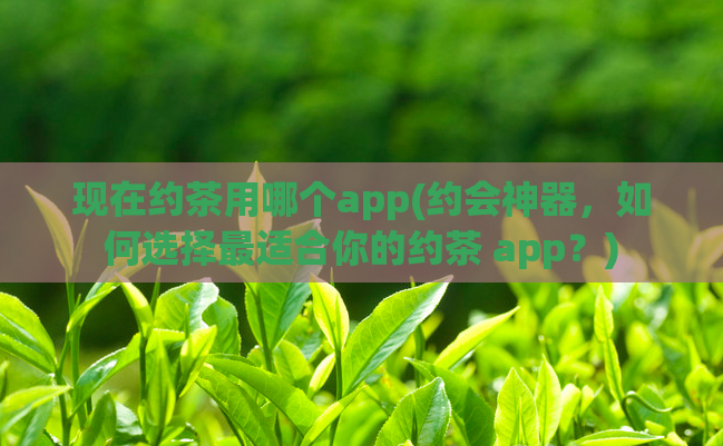 现在约茶用哪个app(约会神器，如何选择最适合你的约茶 app？)  第1张