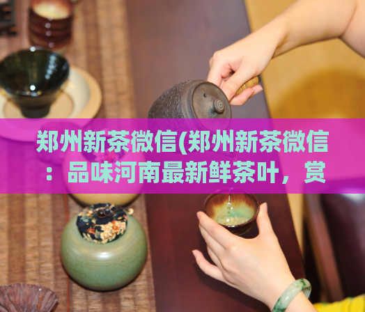 郑州新茶微信(郑州新茶微信：品味河南最新鲜茶叶，赏味文化底蕴)  第1张