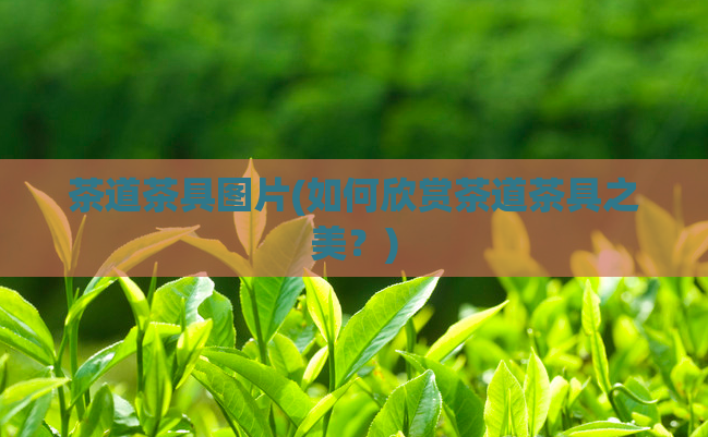 茶道茶具图片(如何欣赏茶道茶具之美？)  第1张