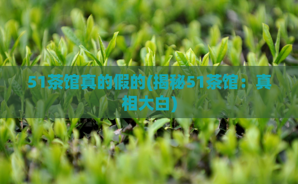 51茶馆真的假的(揭秘51茶馆：真相大白)  第1张