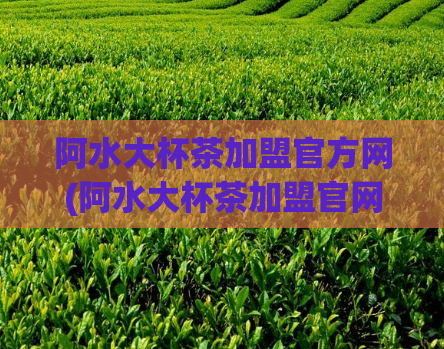 阿水大杯茶加盟官方网(阿水大杯茶加盟官网，探寻茶饮创业新机会)  第1张