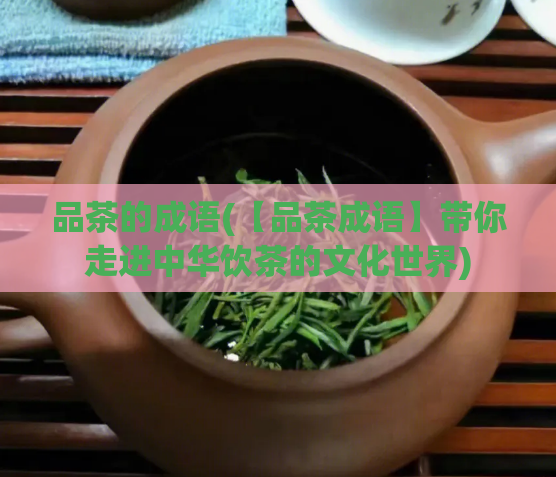 品茶的成语(【品茶成语】带你走进中华饮茶的文化世界)  第1张