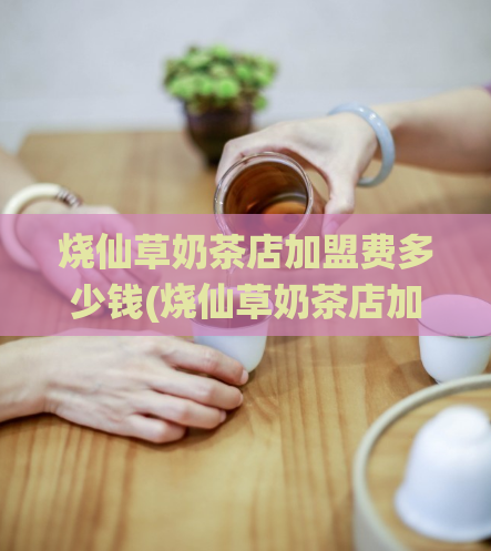 烧仙草奶茶店加盟费多少钱(烧仙草奶茶店加盟投资费用是多少？)  第1张