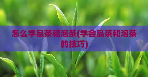 怎么学品茶和泡茶(学会品茶和泡茶的技巧)  第1张