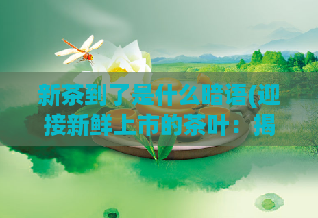 新茶到了是什么暗语(迎接新鲜上市的茶叶：揭秘“新茶到了”背后的秘密)  第1张