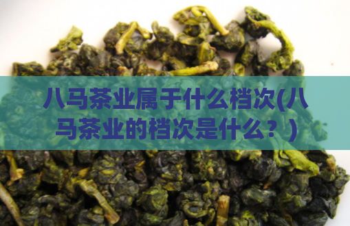 八马茶业属于什么档次(八马茶业的档次是什么？)  第1张