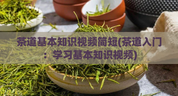 茶道基本知识视频简短(茶道入门：学习基本知识视频)  第1张