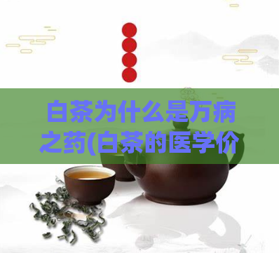白茶为什么是万病之药(白茶的医学价值：一种万能的自然药材)  第1张
