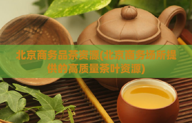 北京商务品茶资源(北京商务场所提供的高质量茶叶资源)  第1张