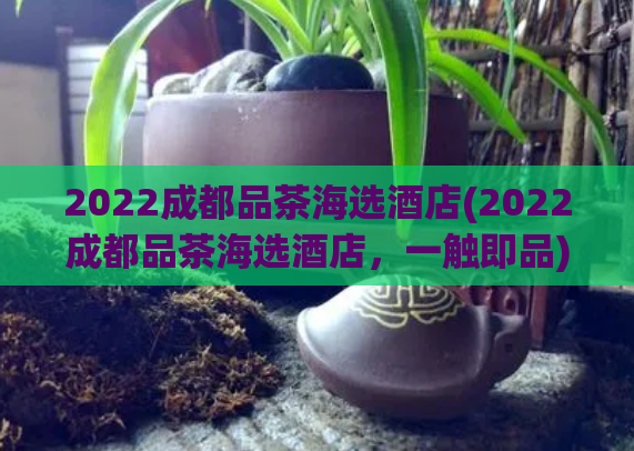 2022成都品茶海选酒店(2022成都品茶海选酒店，一触即品)  第1张