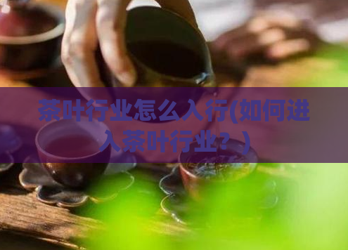 茶叶行业怎么入行(如何进入茶叶行业？)  第1张