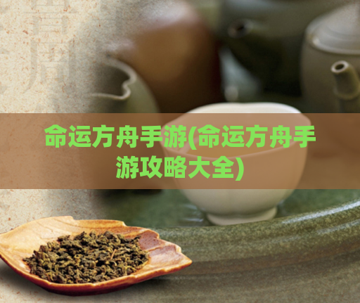 命运方舟手游(命运方舟手游攻略大全)  第1张