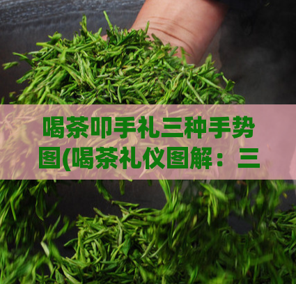 喝茶叩手礼三种手势图(喝茶礼仪图解：三种招牌叩手手势)  第1张