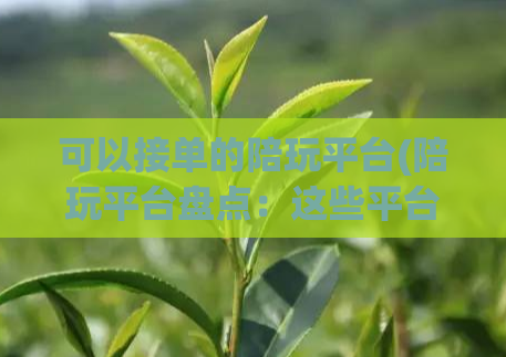 可以接单的陪玩平台(陪玩平台盘点：这些平台不容错过！)  第1张