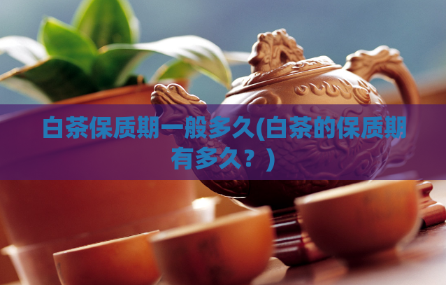 白茶保质期一般多久(白茶的保质期有多久？)  第1张