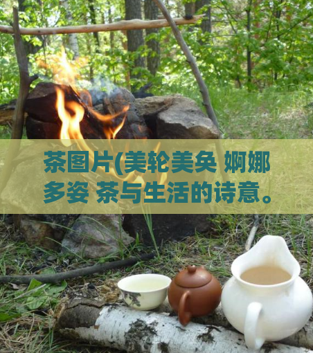 茶图片(美轮美奂 婀娜多姿 茶与生活的诗意。)  第1张