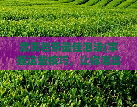 武夷岩茶最佳泡法(掌握这些技巧，让你泡出最佳口感的武夷岩茶)  第1张