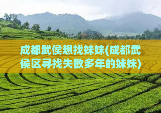 成都武侯想找妹妹(成都武侯区寻找失散多年的妹妹)  第1张