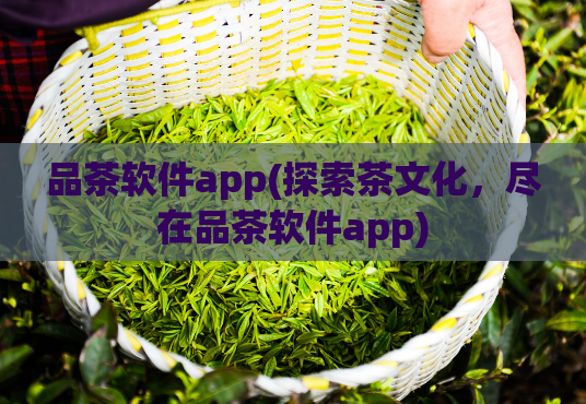 品茶软件app(探索茶文化，尽在品茶软件app)  第1张
