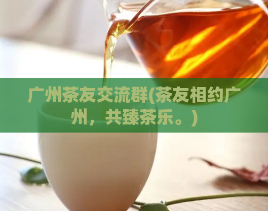 广州茶友交流群(茶友相约广州，共臻茶乐。)  第1张