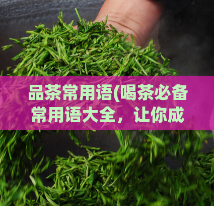 品茶常用语(喝茶必备常用语大全，让你成为品茶专家)  第1张