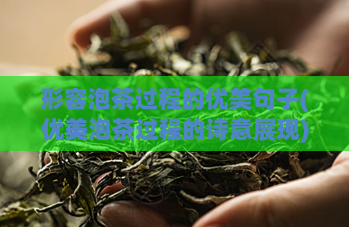 形容泡茶过程的优美句子(优美泡茶过程的诗意展现)  第1张