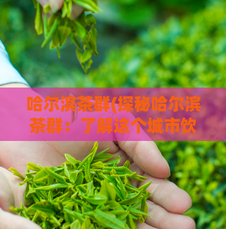 哈尔滨茶群(探秘哈尔滨茶群：了解这个城市饮茶文化的传承与变迁)  第1张