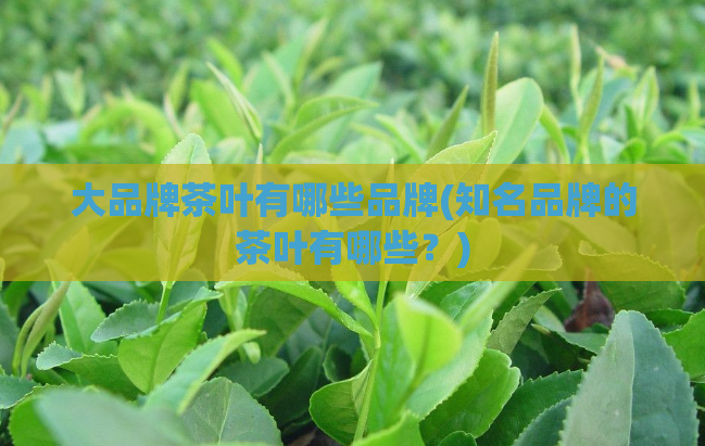 大品牌茶叶有哪些品牌(知名品牌的茶叶有哪些？)  第1张