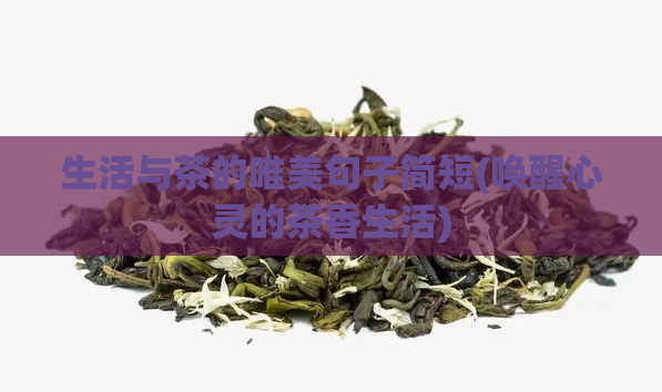 生活与茶的唯美句子简短(唤醒心灵的茶香生活)  第1张