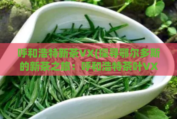呼和浩特新茶VX(探寻鄂尔多斯的新茶之旅：呼和浩特茶叶VX)  第1张