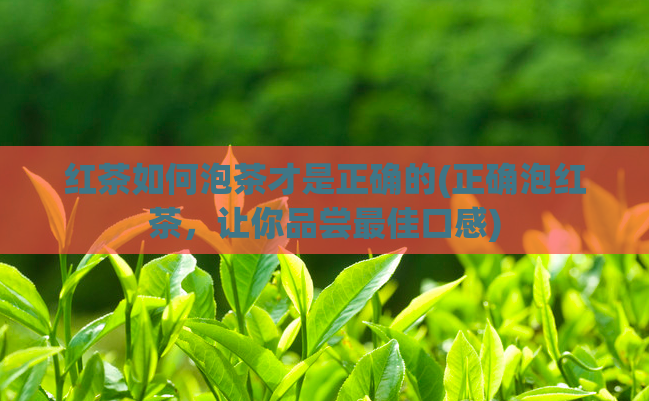 红茶如何泡茶才是正确的(正确泡红茶，让你品尝最佳口感)  第1张