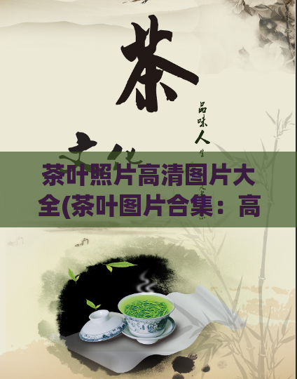 茶叶照片高清图片大全(茶叶图片合集：高清多种茶叶图片分享)  第1张