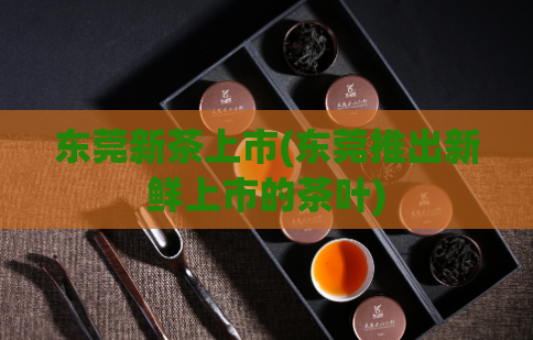 东莞新茶上市(东莞推出新鲜上市的茶叶)  第1张