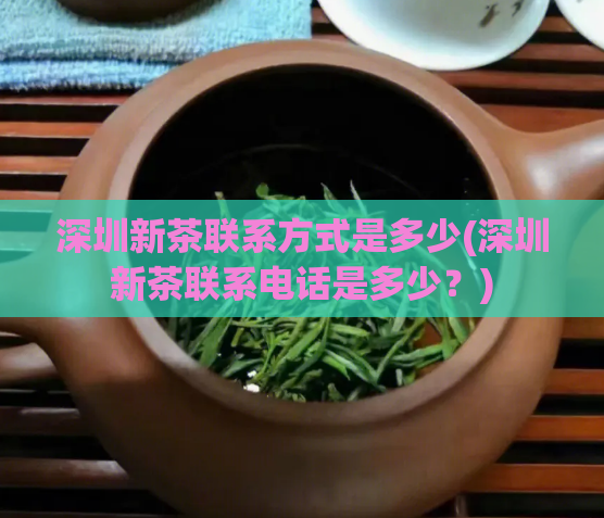深圳新茶联系方式是多少(深圳新茶联系电话是多少？)  第1张