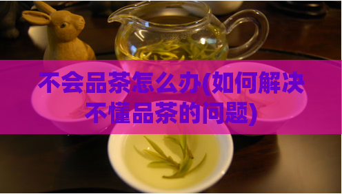 不会品茶怎么办(如何解决不懂品茶的问题)  第1张