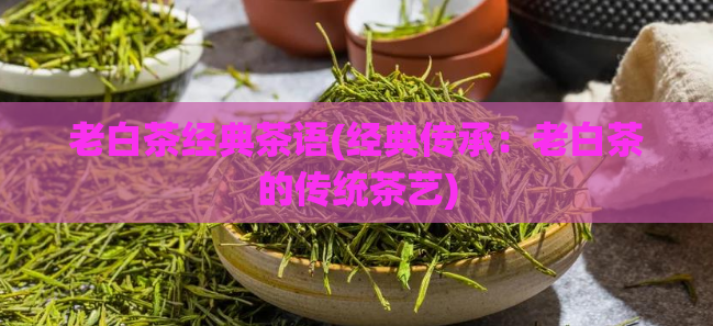 老白茶经典茶语(经典传承：老白茶的传统茶艺)  第1张