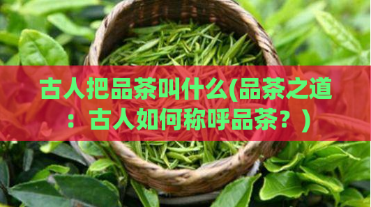 古人把品茶叫什么(品茶之道：古人如何称呼品茶？)  第1张