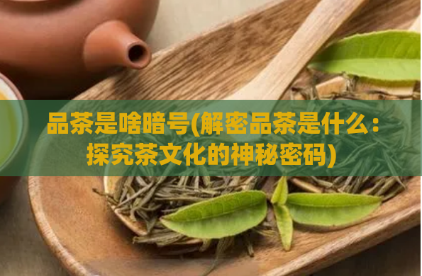 品茶是啥暗号(解密品茶是什么：探究茶文化的神秘密码)  第1张