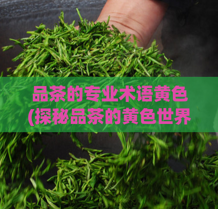 品茶的专业术语黄色(探秘品茶的黄色世界)  第1张