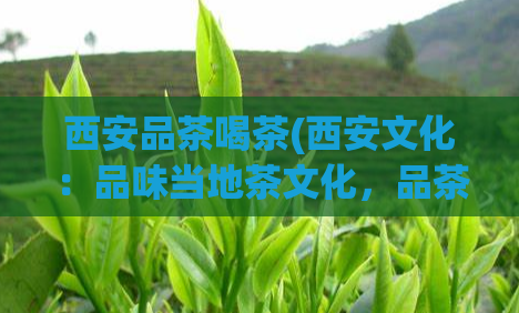 西安品茶喝茶(西安文化：品味当地茶文化，品茶一族的必去之地)  第1张