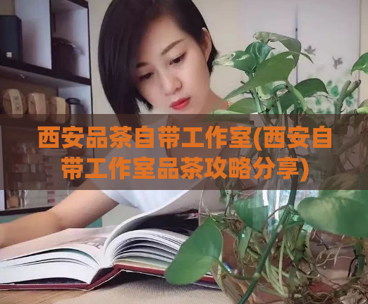 西安品茶自带工作室(西安自带工作室品茶攻略分享)  第1张