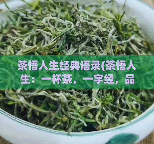 茶悟人生经典语录(茶悟人生：一杯茶，一字经，品茶人生覆式经典语录)  第1张