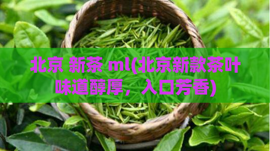 北京 新茶 ml(北京新款茶叶味道醇厚，入口芳香)  第1张