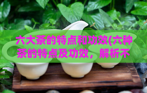 六大茶的特点和功效(六种茶的特点及功效，解析不同茶饮料的养生之道)  第1张