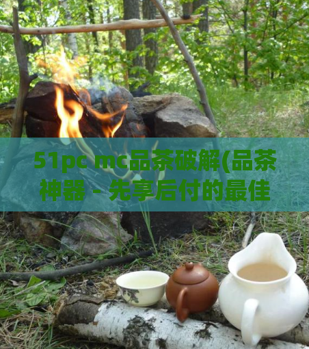 51pc mc品茶破解(品茶神器 - 先享后付的最佳选择)  第1张