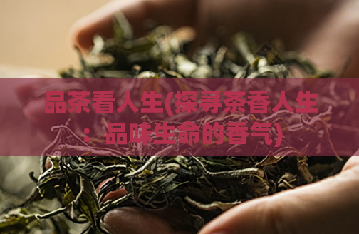 品茶看人生(探寻茶香人生：品味生命的香气)  第1张