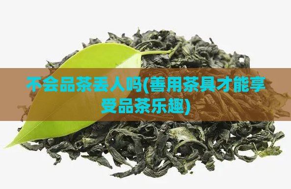 不会品茶丢人吗(善用茶具才能享受品茶乐趣)  第1张