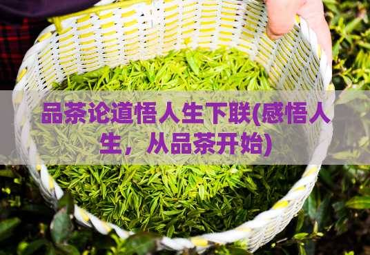 品茶论道悟人生下联(感悟人生，从品茶开始)  第1张