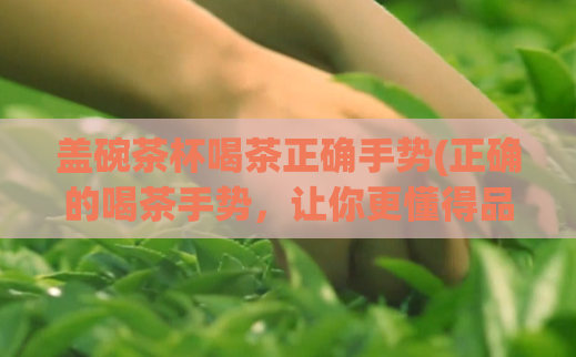 盖碗茶杯喝茶正确手势(正确的喝茶手势，让你更懂得品茶之道)  第1张